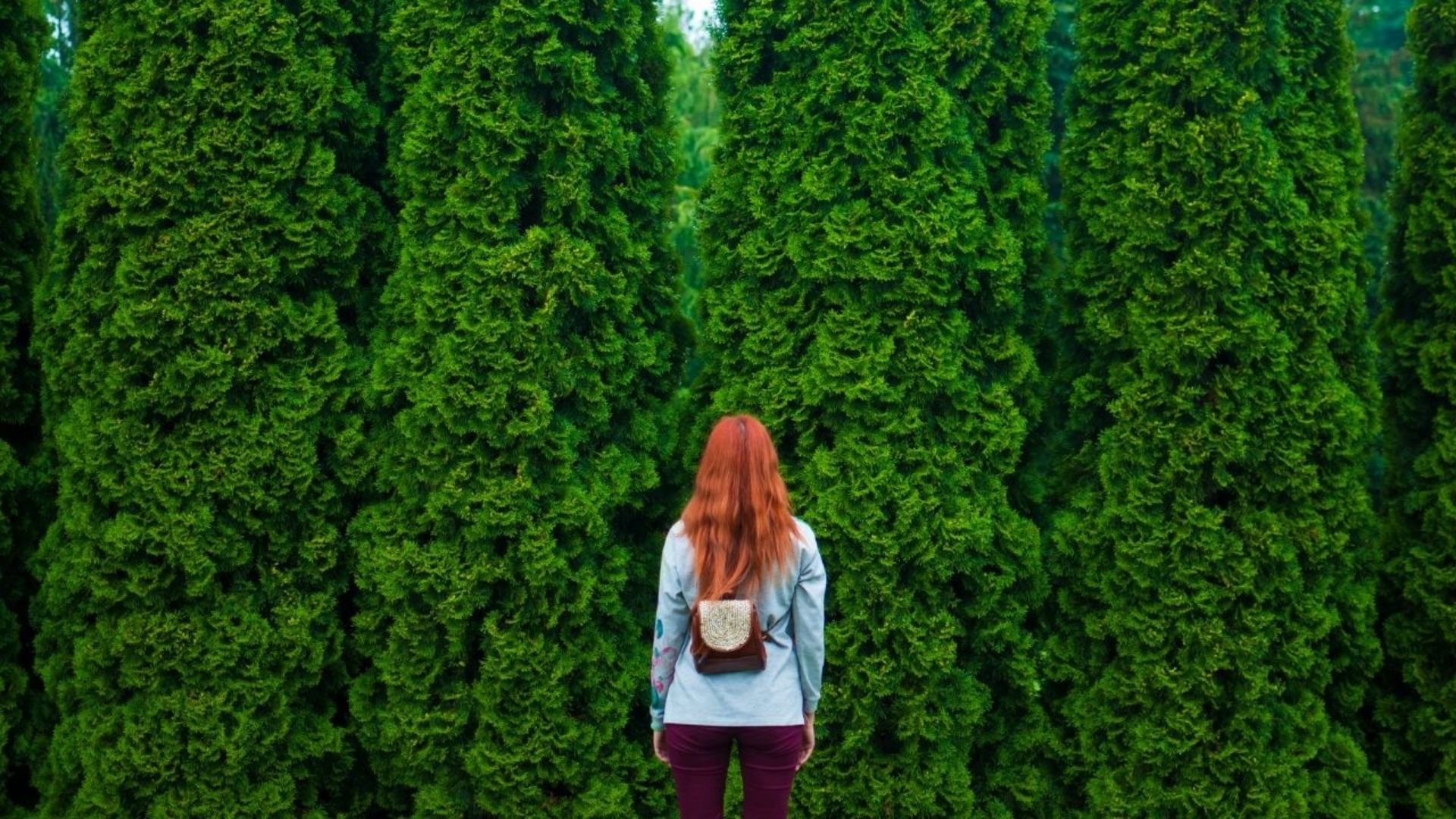 Woman looking at green trees